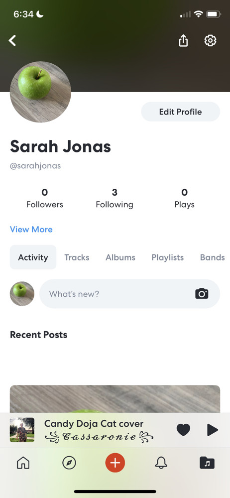 BandLab Profile screenshot
