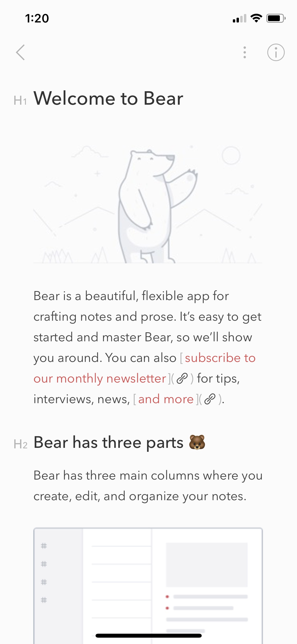bear notes 2