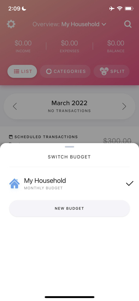 Buddy budget Switch account screenshot