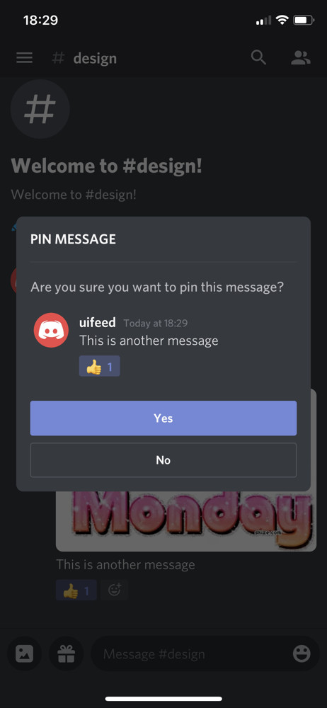 Discord Pin message screenshot