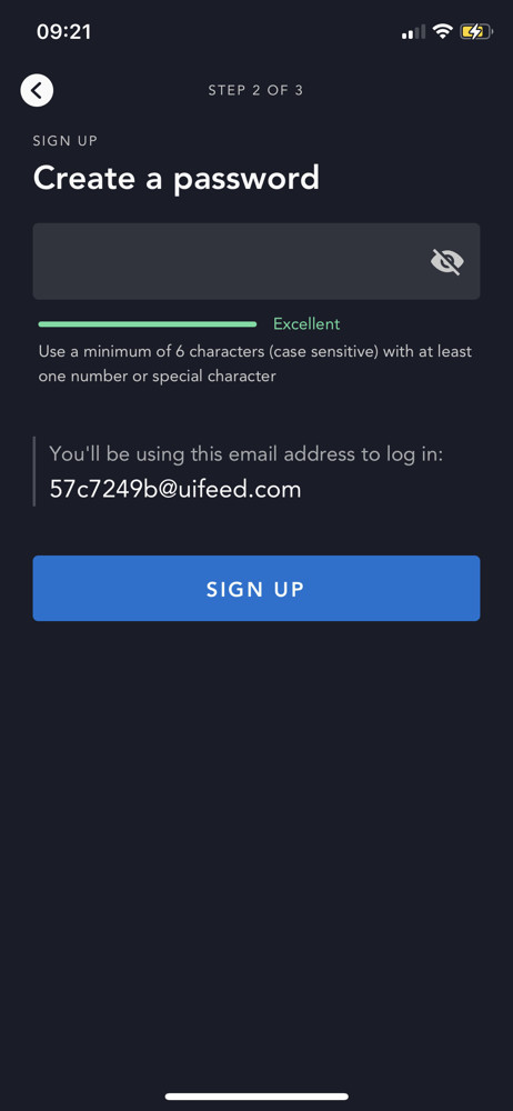 Disney+ Set password screenshot