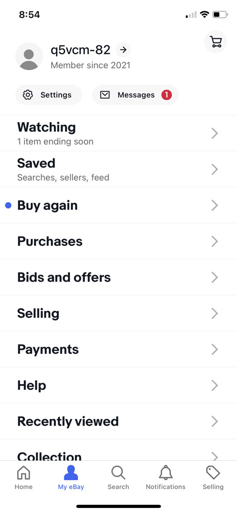 eBay Account screenshot