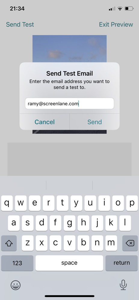 Mailchimp Send test email screenshot