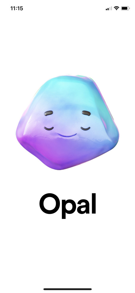 Opal Splash screen screenshot