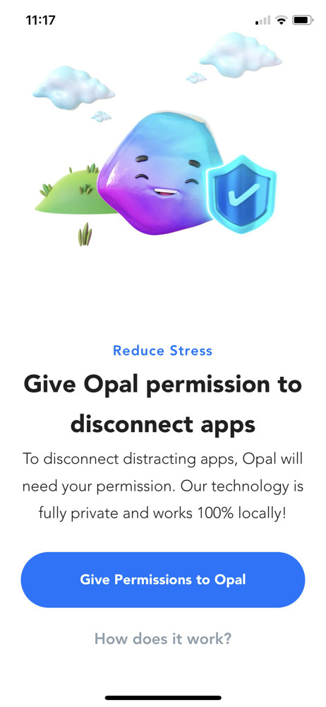 Opal Permission request screenshot