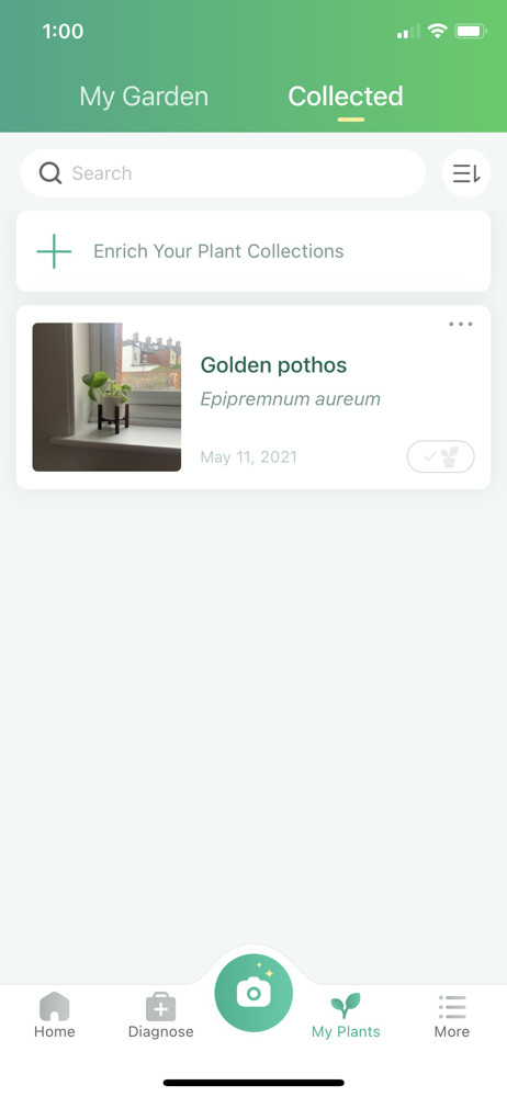 PictureThis Collection screenshot