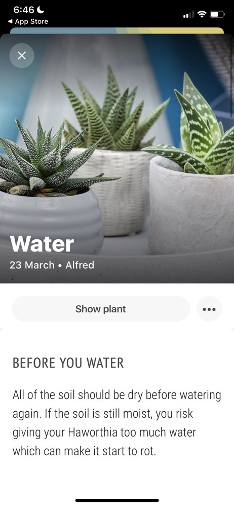 Planta Task screenshot