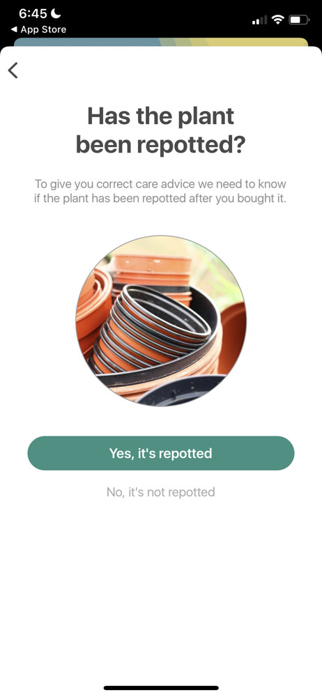 Planta Question screenshot