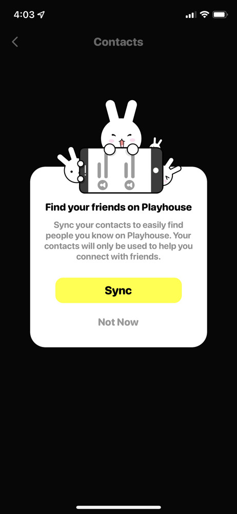 Playhouse Allow contact access screenshot