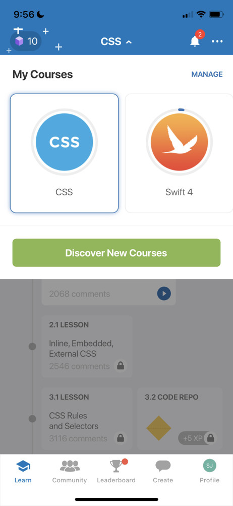 Screenshot from the Sololearn iOS app