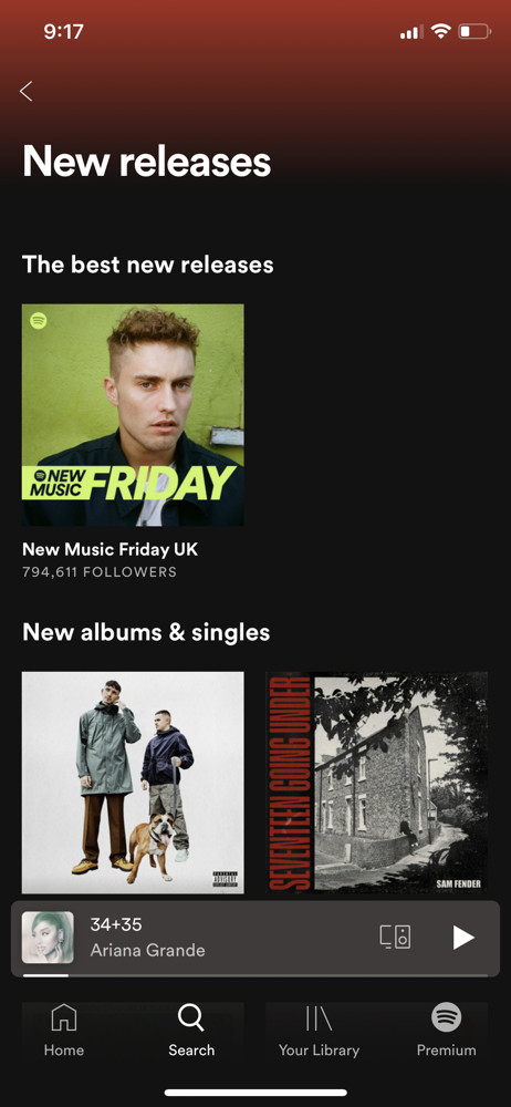 Spotify Category screenshot