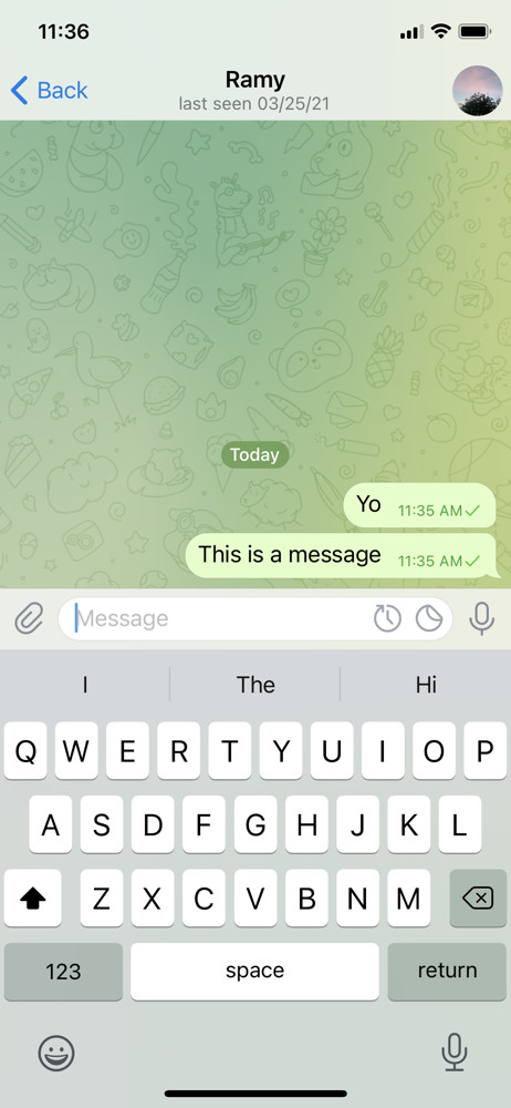 Telegram Chat screenshot