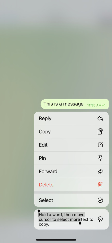 Telegram Action menu screenshot