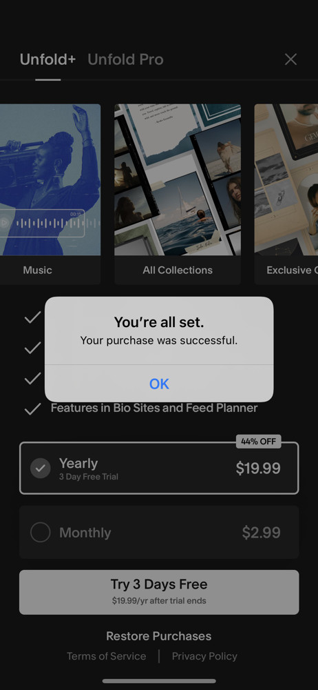 Unfold Purchase successful screenshot