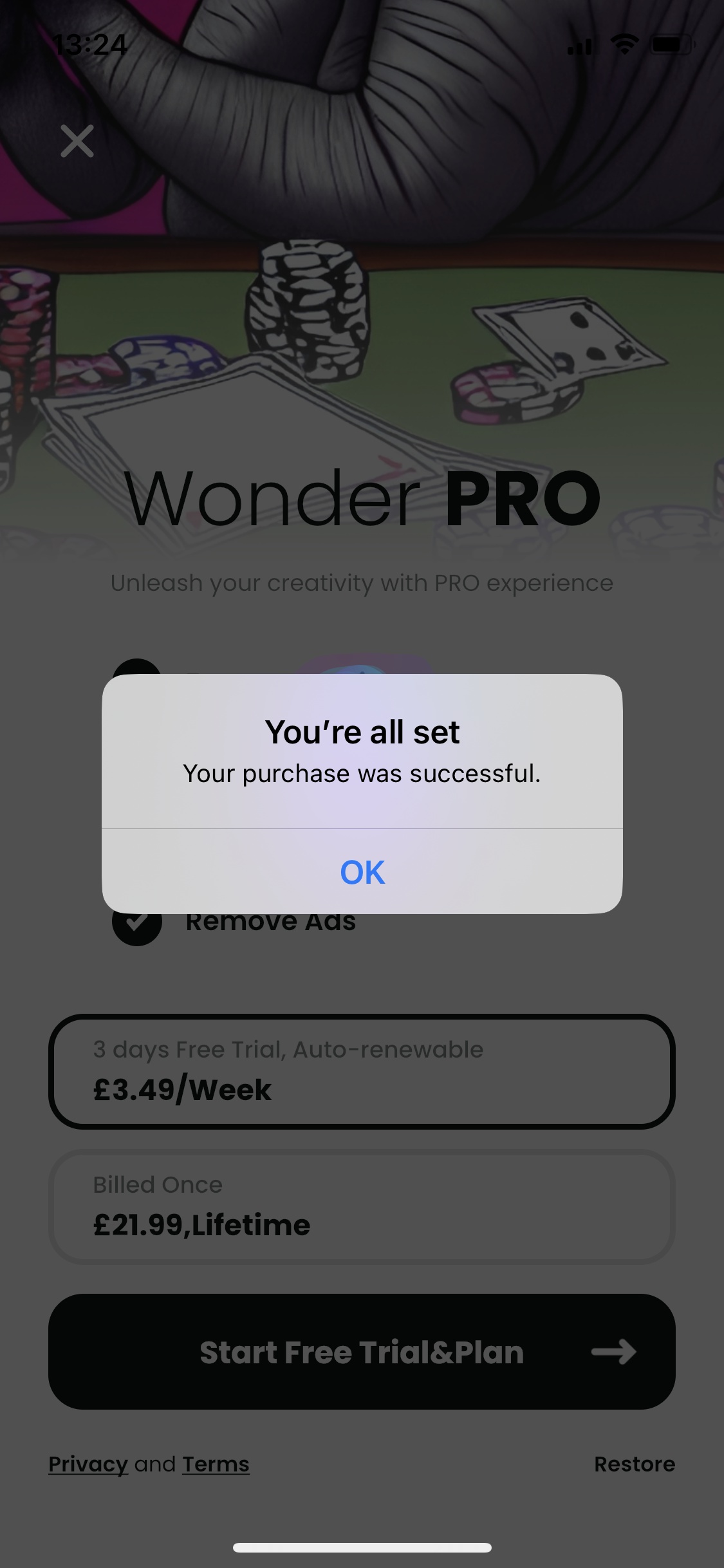 Screenshot of Wonder - Purchase successful